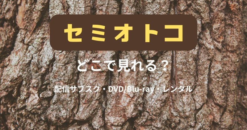 山田涼介『セミオトコ』どこで見れる？配信サブスクとDVD・レンタルまとめ