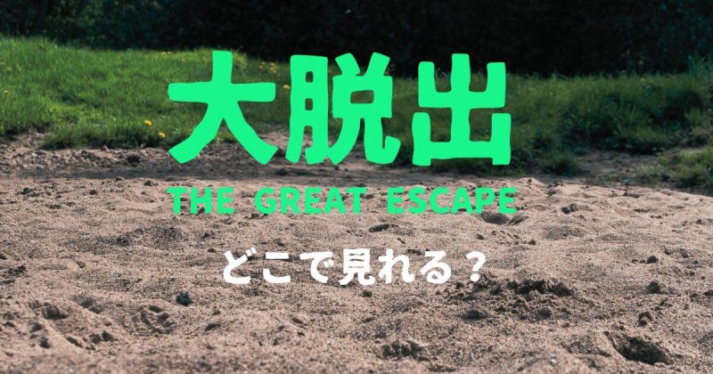 配信バラエティ「大脱出」どこで見れる？DMM・アマプラ・ネトフリの最新状況