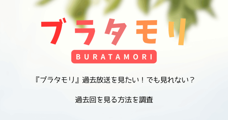 『ブラタモリ』過去放送を見たい！でも見れない？過去回を見る方法を調査