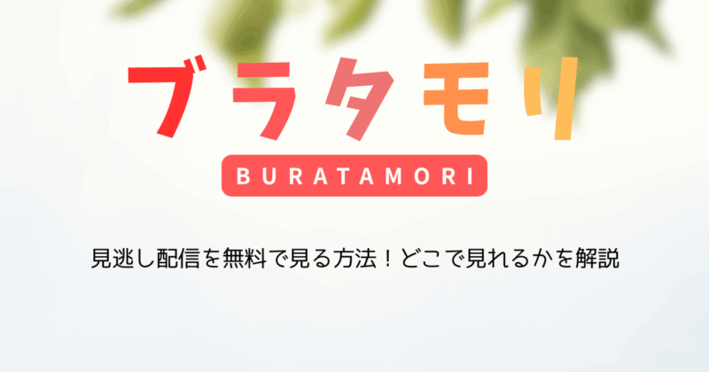 『ブラタモリ』見逃し配信を無料で見る方法！どこで見れるかを解説
