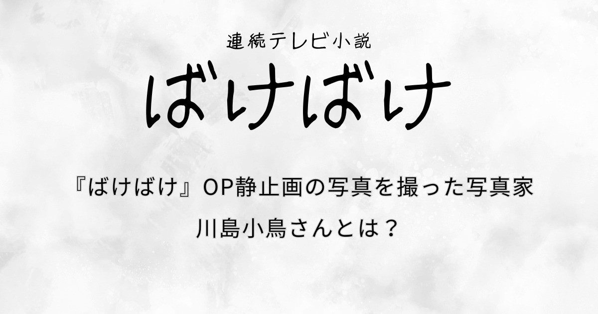『ばけばけ』OP静止画の写真を撮った写真家の川島小鳥さんとは？