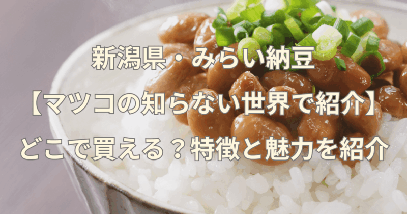 新潟県・みらい納豆【マツコの知らない世界で紹介 】どこで買える？特徴と魅力を紹介