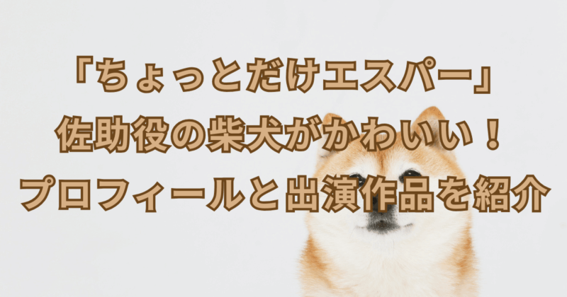 「ちょっとだけエスパー」佐助役の柴犬がかわいい！プロフィールと出演作品を紹介