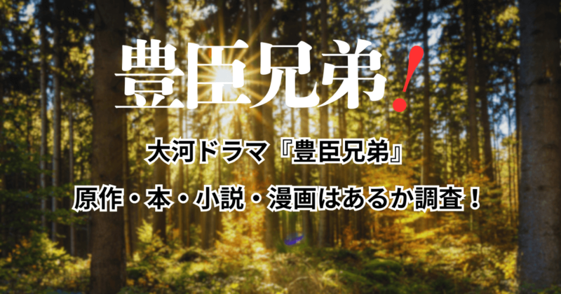 大河ドラマ『豊臣兄弟』の原作・本・小説・漫画はあるか調査！