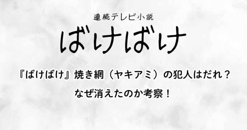 『ばけばけ』焼き網（ヤキアミ）の犯人はだれ？なぜ消えたのか考察！